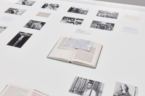 <p><em>Mapping The Plague</em>, 2018 (installation view &mdash;&nbsp;<em>She Has Many Names</em>, 2023, M HKA)</p>
&#169; Dora García. Photo: We Document Art