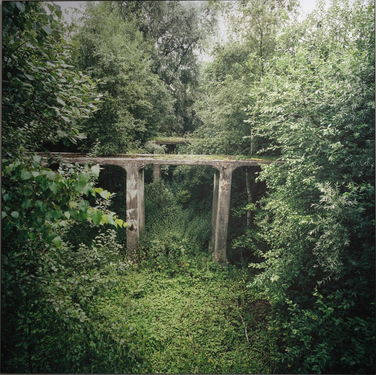 Neo-Nature D1