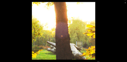 <p>AMI, a Global Peep Show, 2009 (film still)</p>© Pauline Curnier Jardin