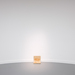 Vaast Colson — CASE STUDY: You Used to Be Part of Something, 2025 (Exhibition view)


