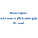 Koen Deprez - 2026 - De nacht waarin alle koeien grijs zijn [NL, essay]