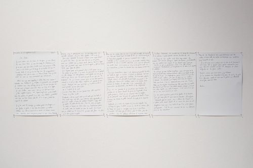 <p>Pauline Curnier Jardin, Letter to the visitors, 2025 (installation view of the exhibition <i>The Associations of Pauline Curnier Jardin </i>09 October 2025 - 08 February 2026)</p>© Pauline Curnier Jardin — Photo: Lola Pertsowsky