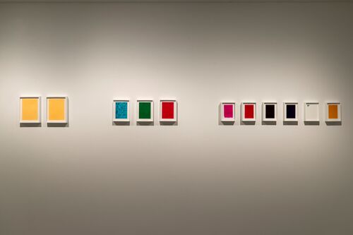 <p>Taysir Batniji, <i>Homeless Colors</i>, 2024 (installation view&nbsp;<i>we refuse_d,&nbsp;</i>Mathaf: Arab Museum of Modern Art, Doha 2025 - 2026)</p>© the artist — photo: Ali Al-Anssari, courtesy of Qatar Museums 2025