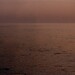 North Sea (Z)