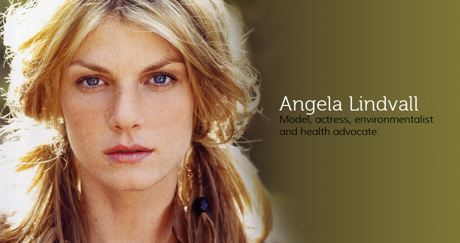 Angela - Damascus Rose