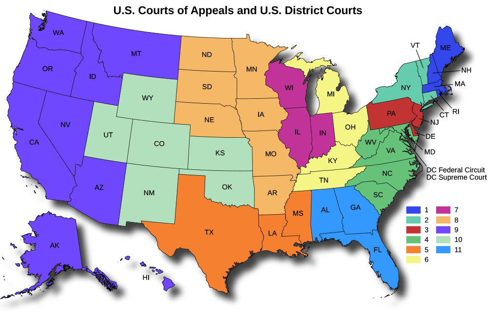 American Government Delivering Collective Action Formal Institutions