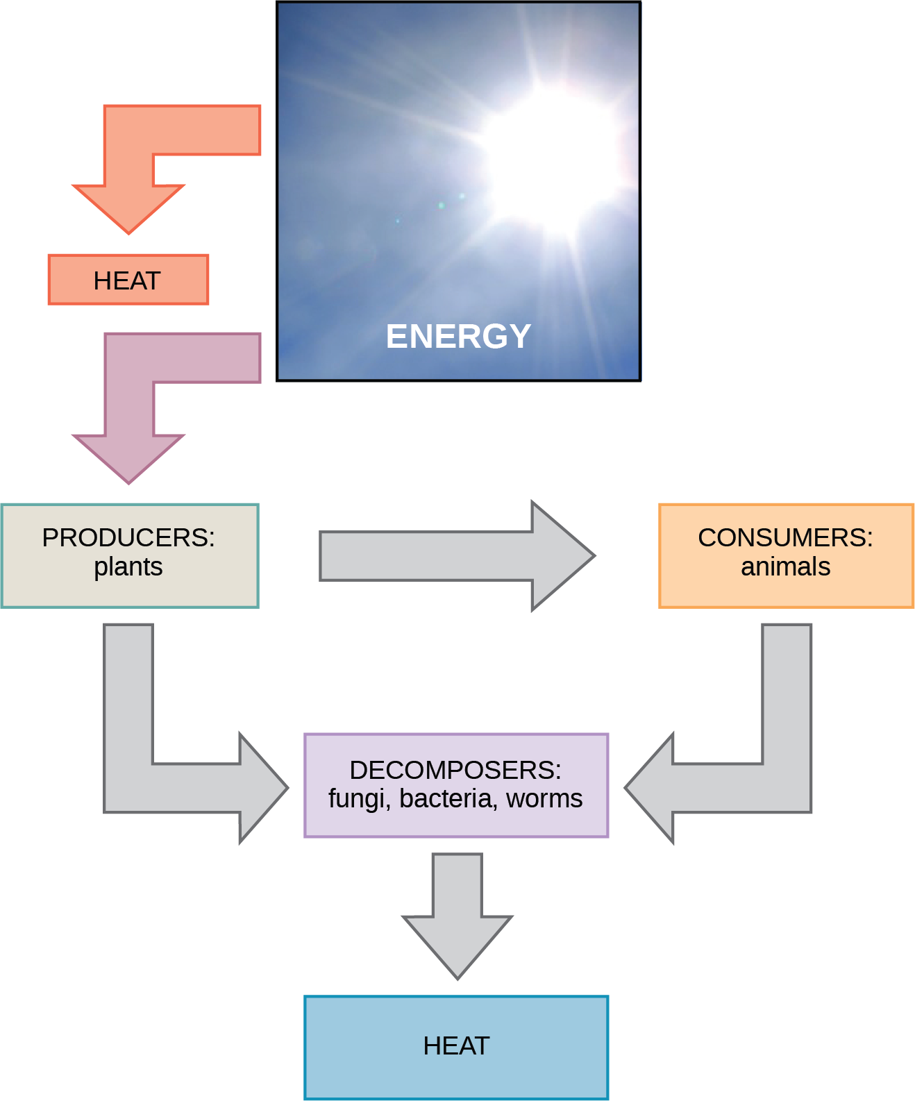 Biology 2e The Cell Metabolism Energy And Metabolism OpenEd CUNY