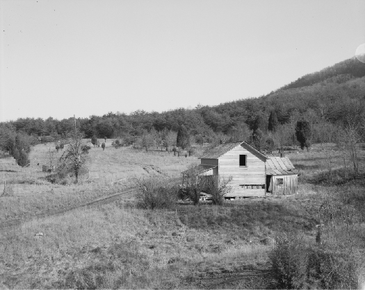 An image of a small house surrounded by a field and several trees.