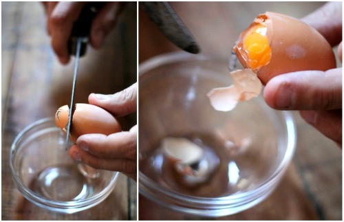 DIY Eggshell Planter | MightyNest