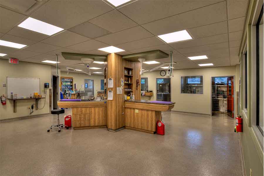 Bethel Park Animal Clinic Millstone Management Group