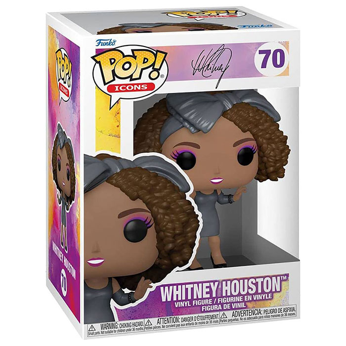 Pop whitney houston hwik