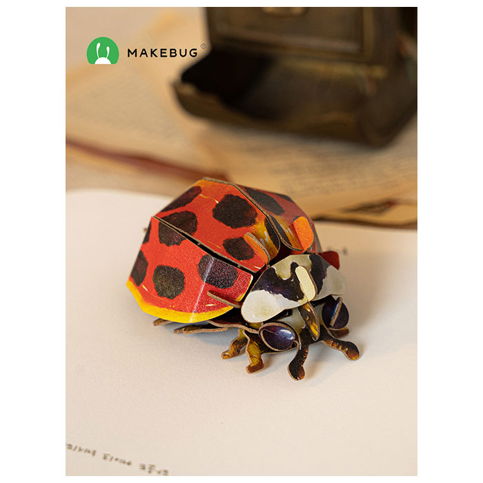 3D Puzzle Asian Ladybug - 31 Pieces | Mind Games Canada