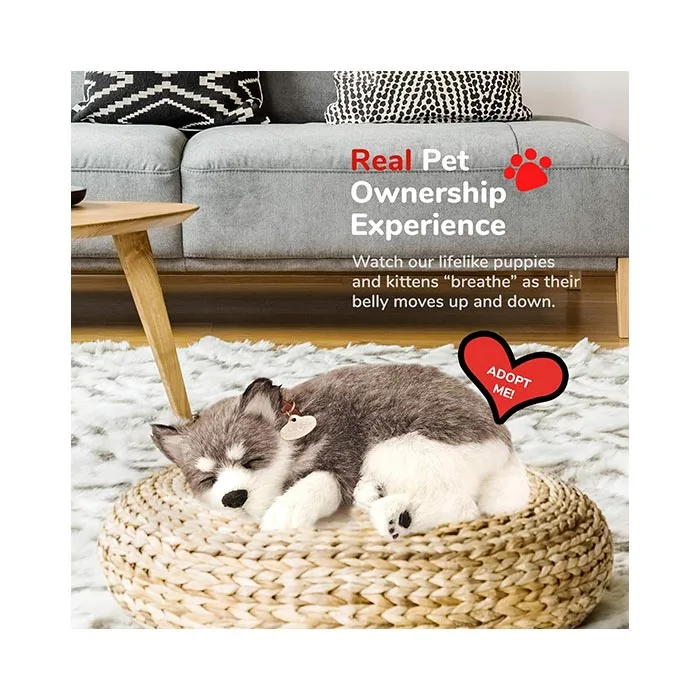 Perfect Petzzz - Original Petzzz Alaskan Husky | Mind Games Canada