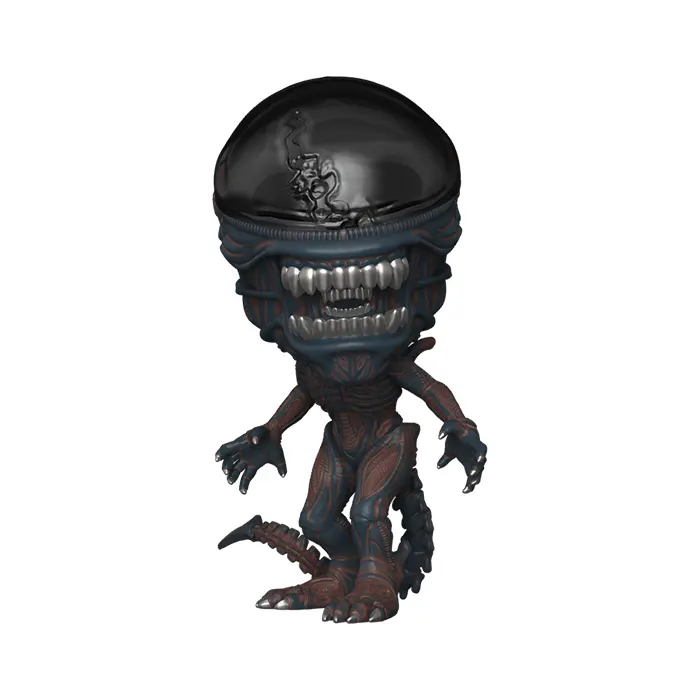 82562-1-1.webp