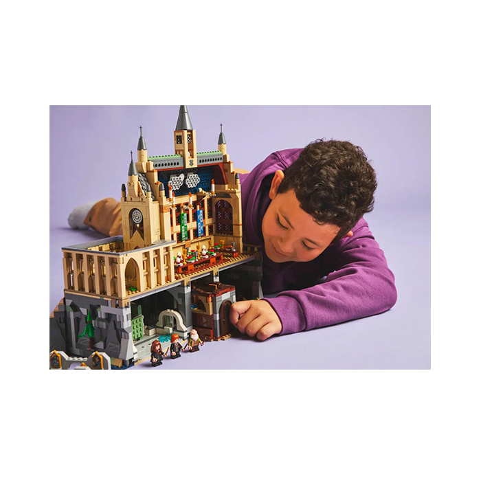 LEGO Harry Potter Hogwarts Castle Charms Class 204 Pieces