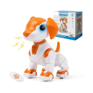 R/C Robotic Intelligent Dog