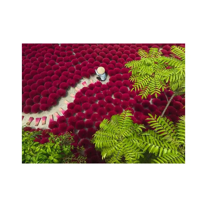 Ravensburger A Sea of Red 500 Piece Jigsaw Puzzle