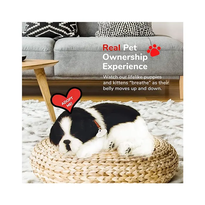 Perfect Petzzz Border Collie