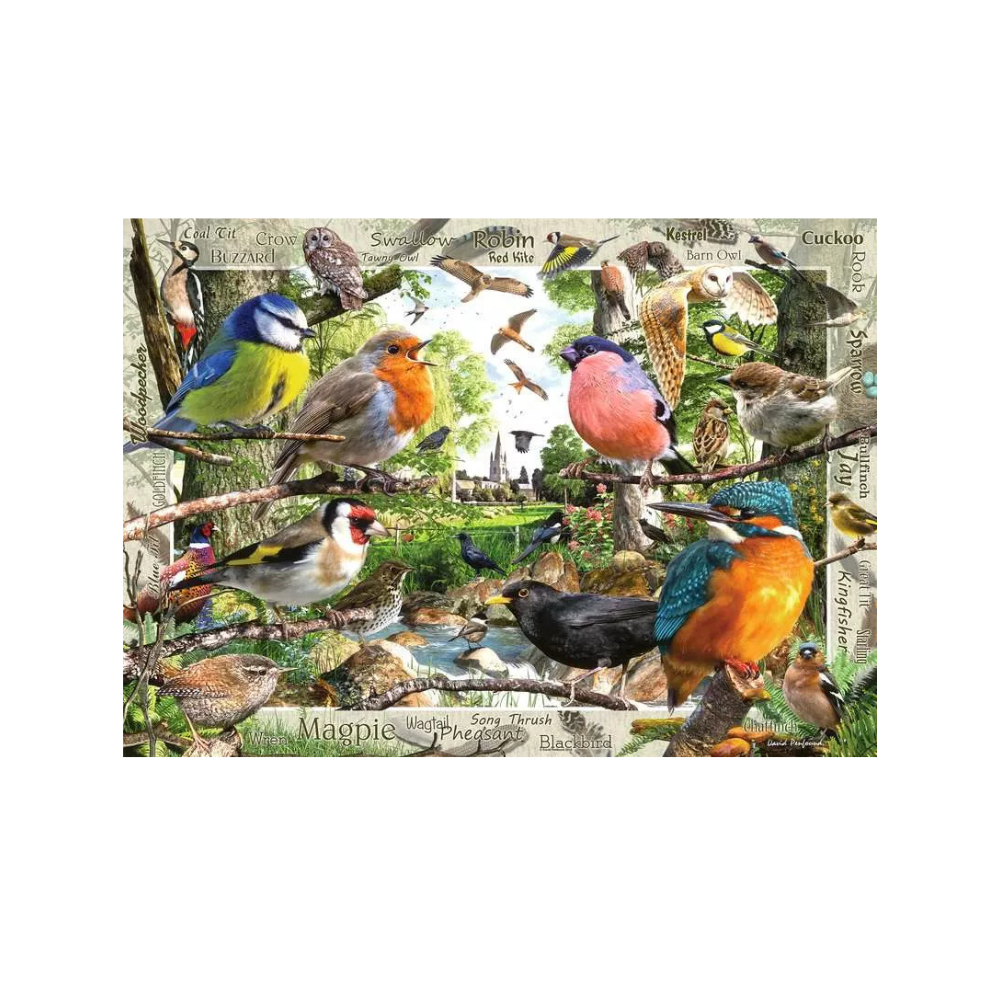 Ravensburger OUR FEATHERED FRIENDS 1000 piece – Jigsaw Puzzle