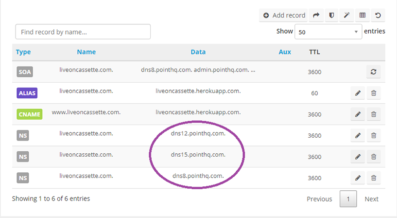 Copy your name server information