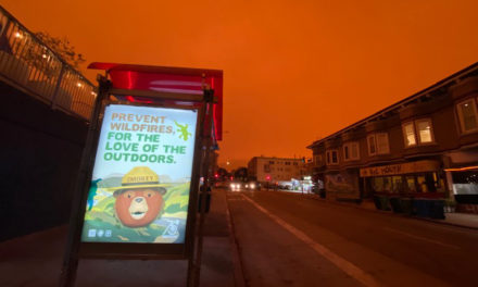 Covid Tracker: 10,263 cases, 90 deaths