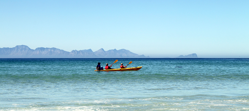 afrique du sud-flowcomm-flickr
