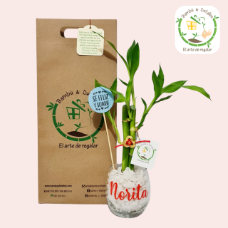 Lucky Bambú Nombre Personalizado