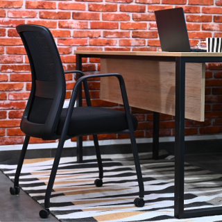 Pack 2 Sillas Vice Visit