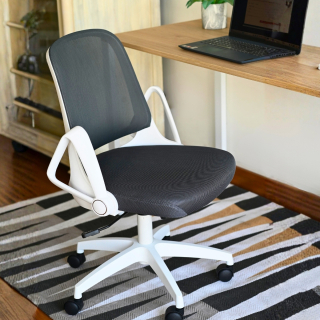 Pack 6 Sillas Camberra Lux