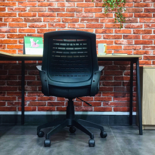 Pack 8 Sillas Berkeley