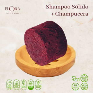 Shampoo Sólido + Champucera