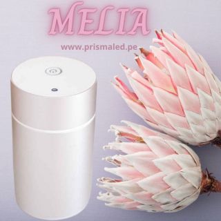 Difusor Nebulizador Melia