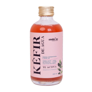KEFIR TE ACTIVA 250ML - SIMBIOSE