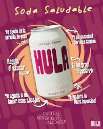 GASEOSA DE CRANBERRY 330ML - HULA