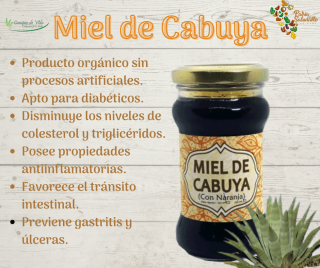 MIEL DE CABUYA 250GR - CAMPOS DE VIDA