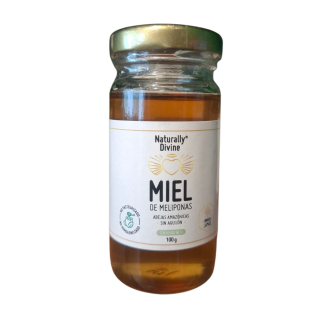 MIEL DE MELIPONAS 100GR - NATURALLY DIVINE