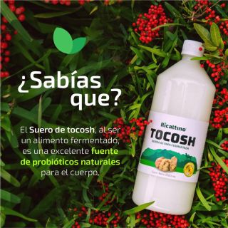 SUERO DE TOCOSH 1L - RICALTINO