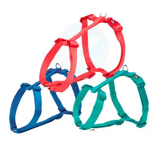 Arnes H Premium Clasico