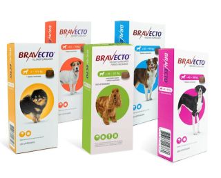 Bravecto Dog (Antiparasitario externo)
