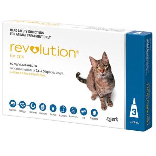 Revolution 6% Pipeta - Gatos