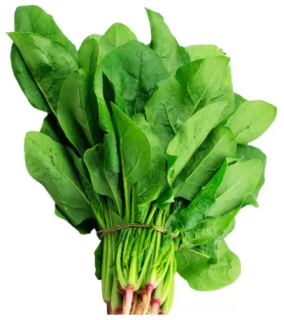 Semilla Espinaca Hibrida Viroflay Verde 10g 1000 semillas aprox