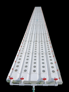 Hidromanta 300 para cultivos de ciclo largo y mayor tamaño