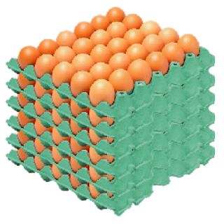 HUEVO GRANEL AVIVEL 6 PLANCHAS 11 KG