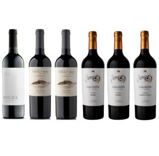 Box Parrillero Master