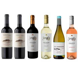 Revolucionario Starter Box