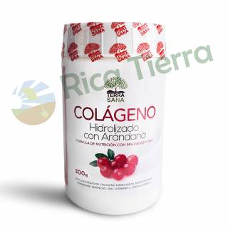 COLAGENO CON ARANDANO X 300G TERRA SANA