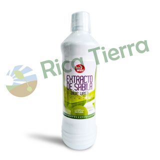 BEBIDA DE SABILA X 600ML ECOWASI