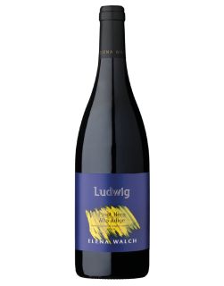 Pinot Nero “Ludwig” 2021  Alto Adige DOC