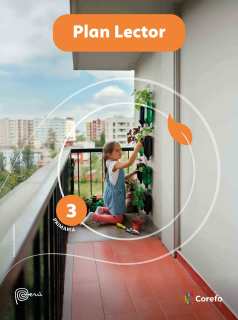 PLAN LECTOR 3ERO PRIMARIA