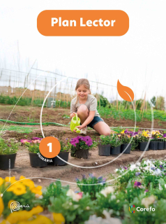 PLAN LECTOR 1ERO PRIMARIA